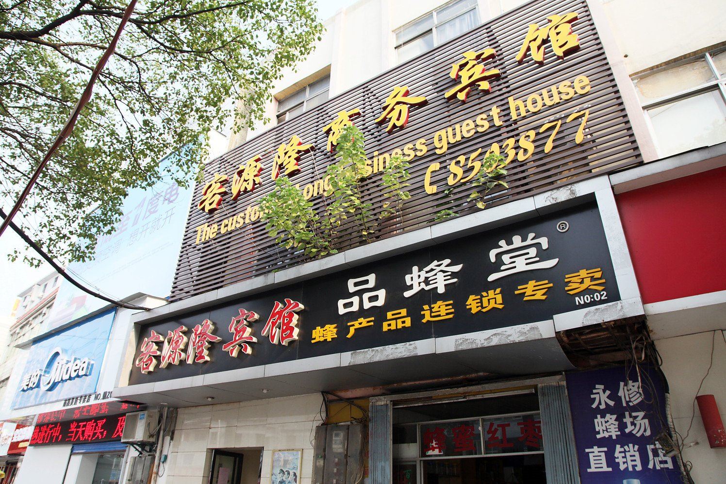 外观