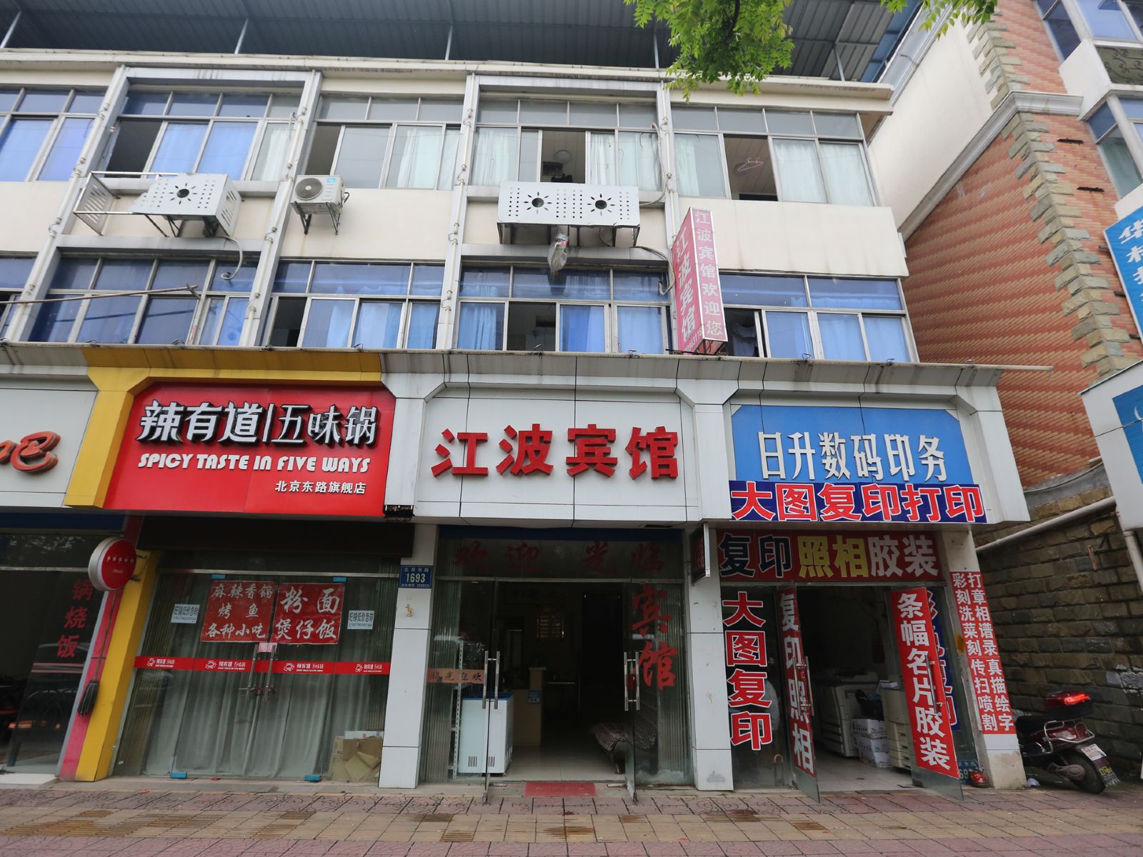 外观