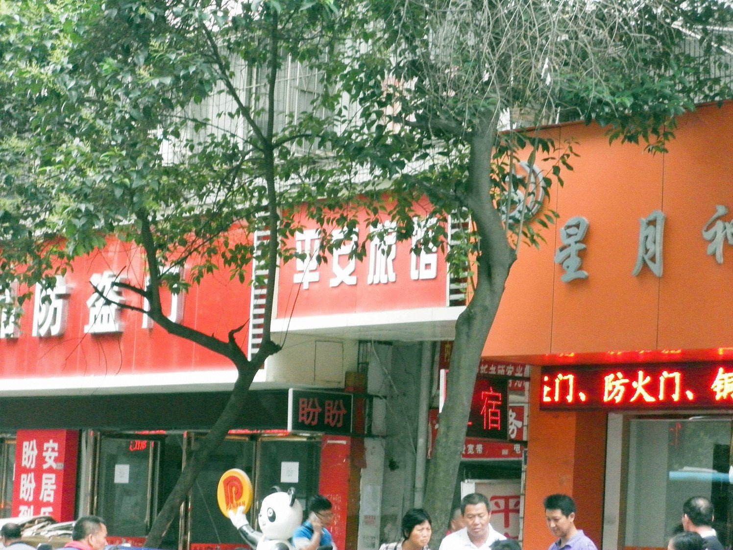 外观