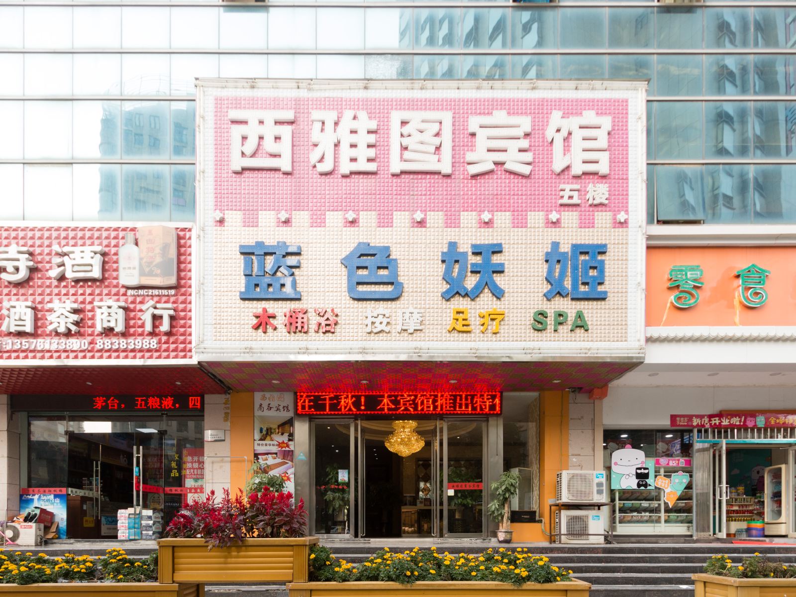 外观