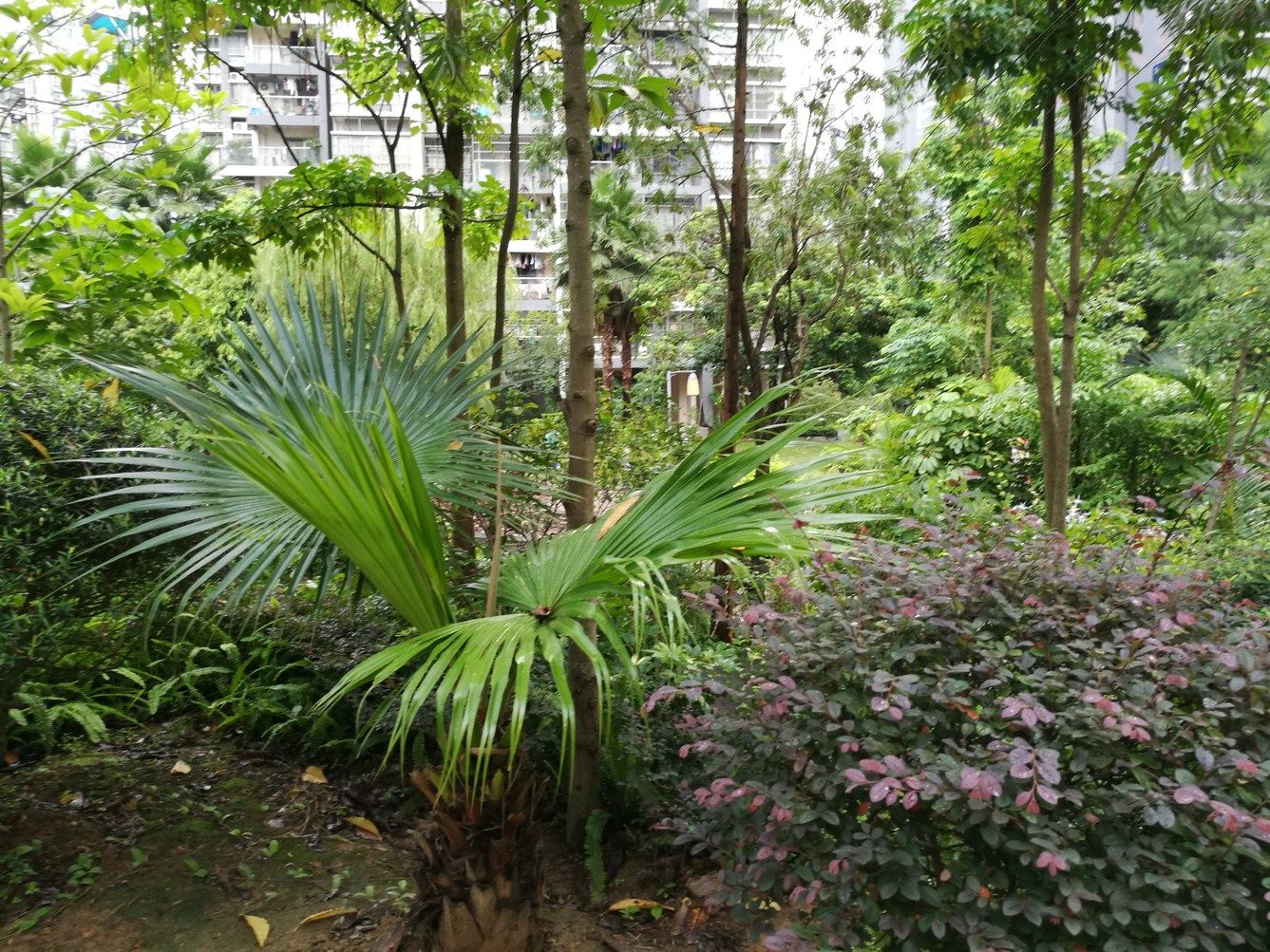 其他