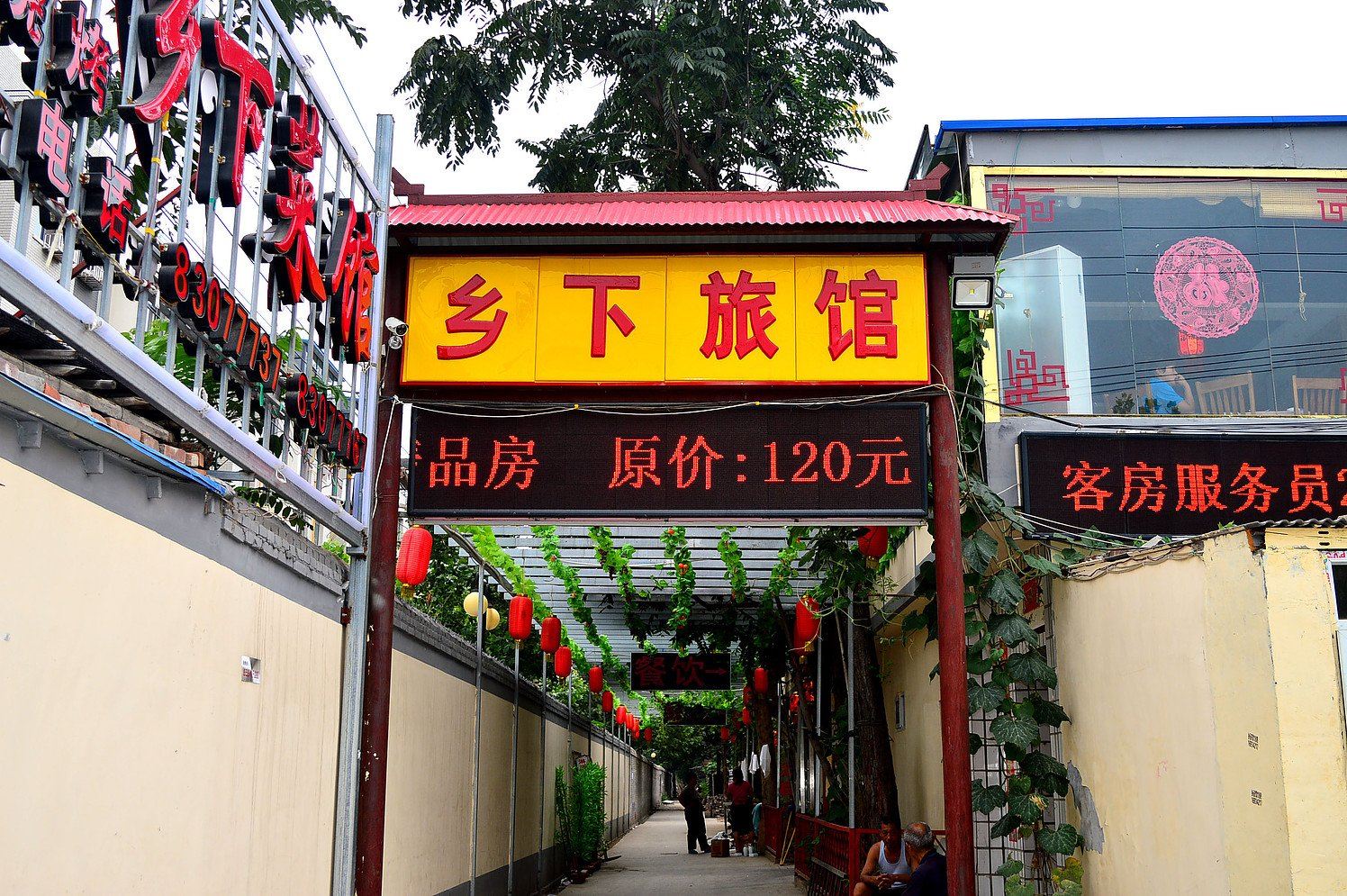外观
