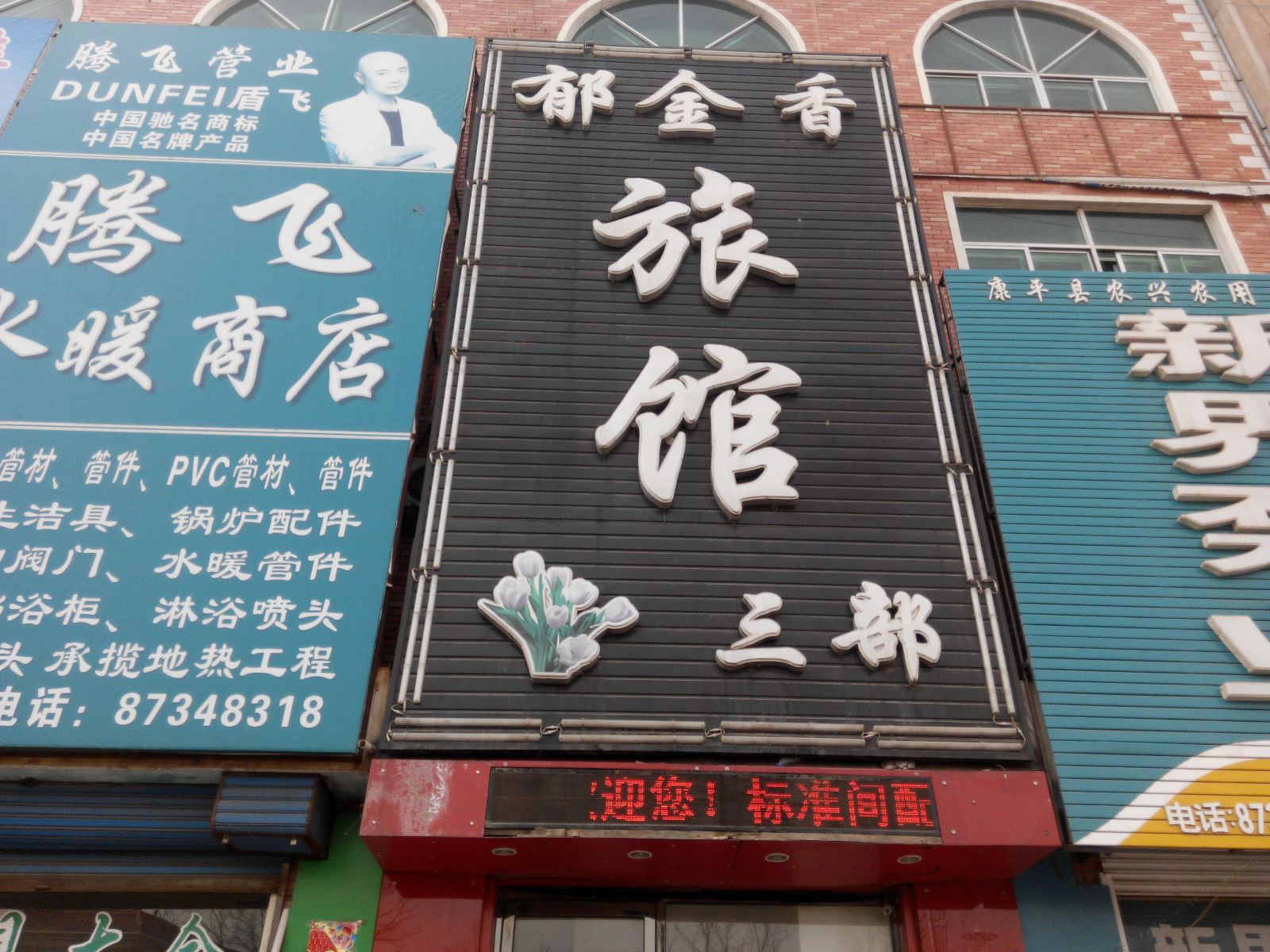 康平郁金香三部