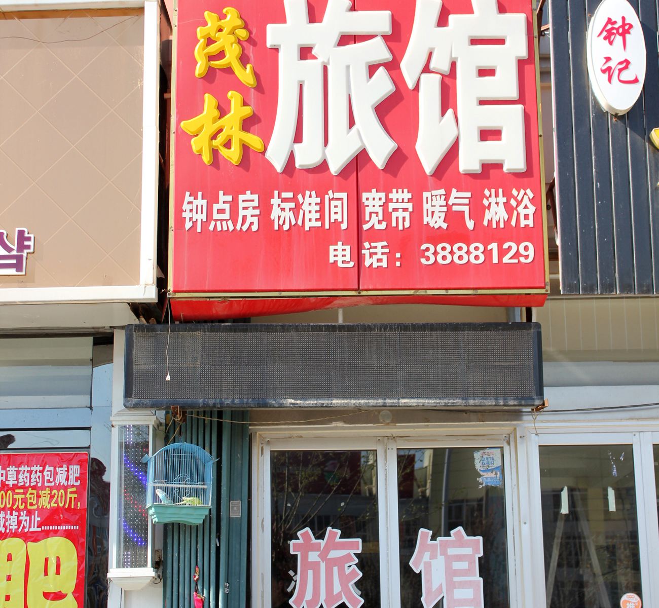 外观