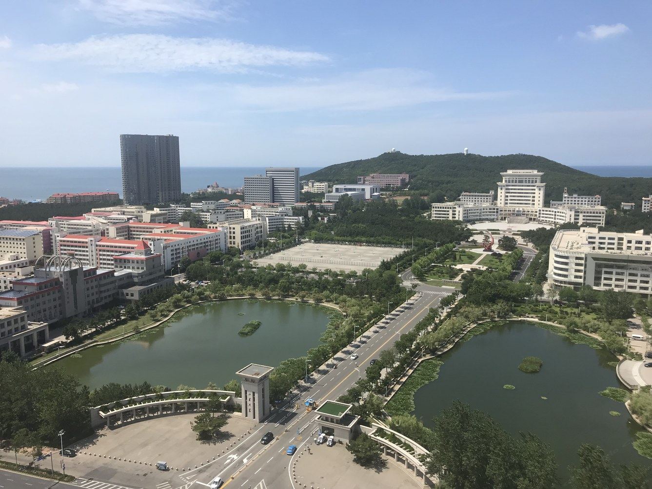 其他