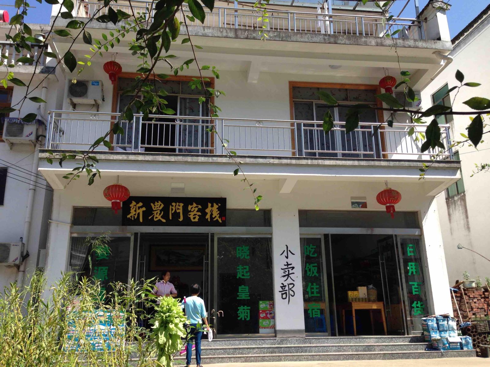 外观