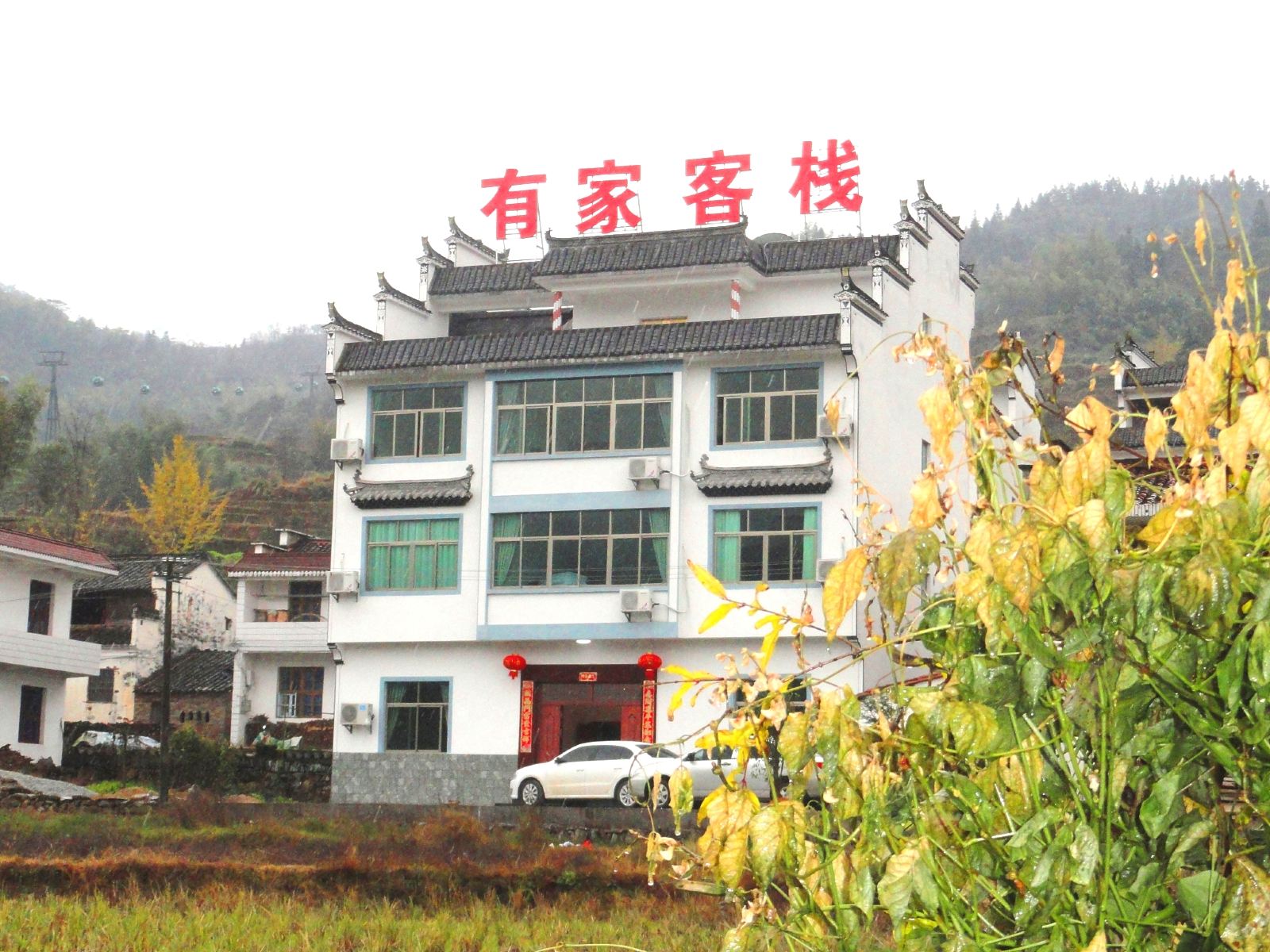 外观