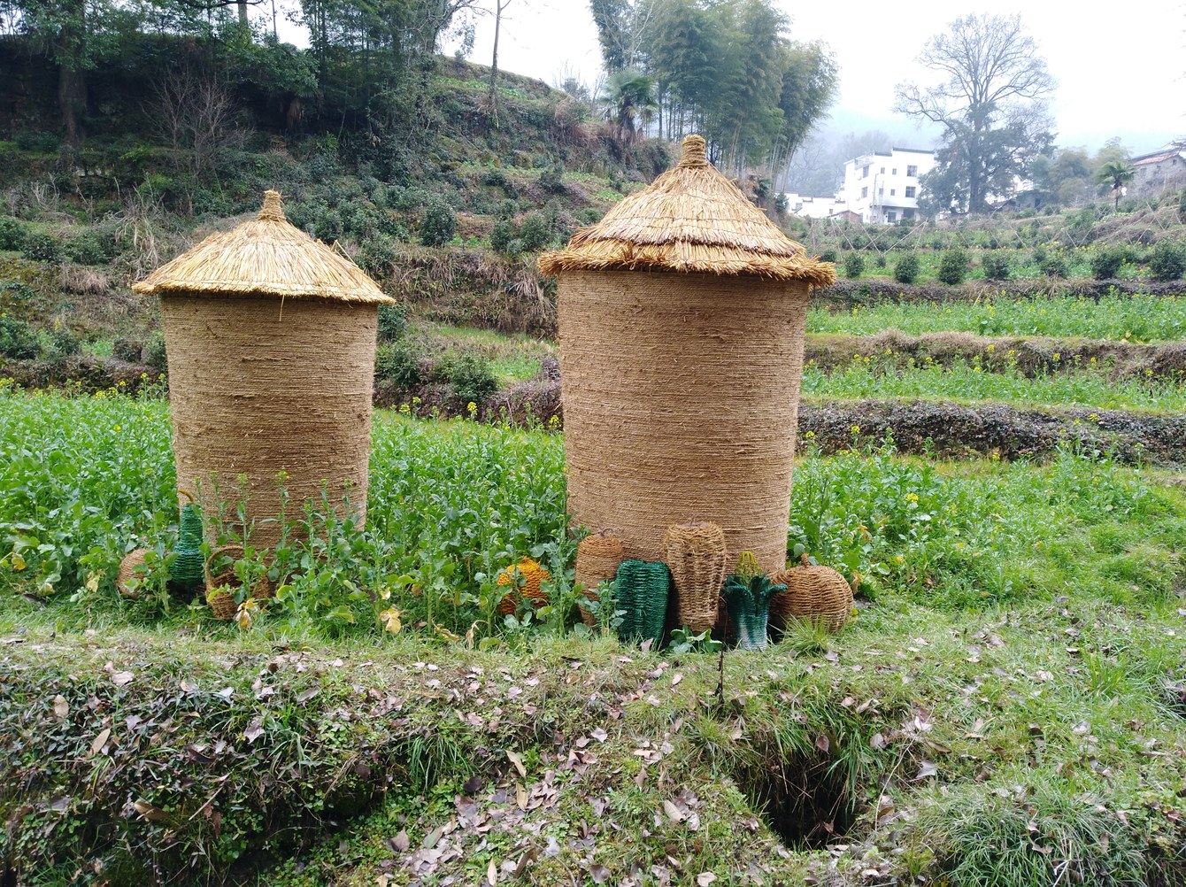 其他