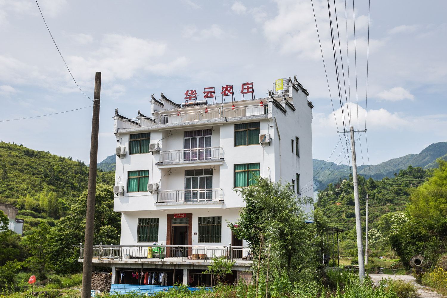 外观