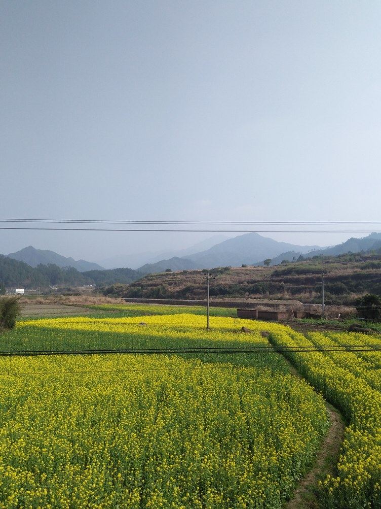 婺源方华芳公寓
