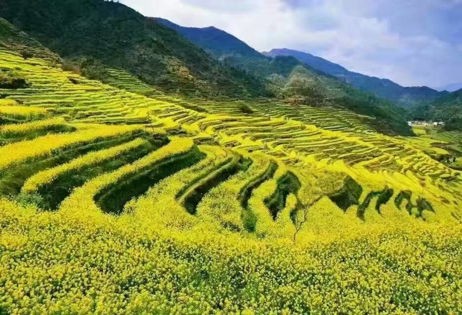 上饶王巧云特色民宿