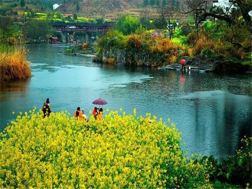 婺源东方的爱丽丝客栈(小桥流水人家景区分店)