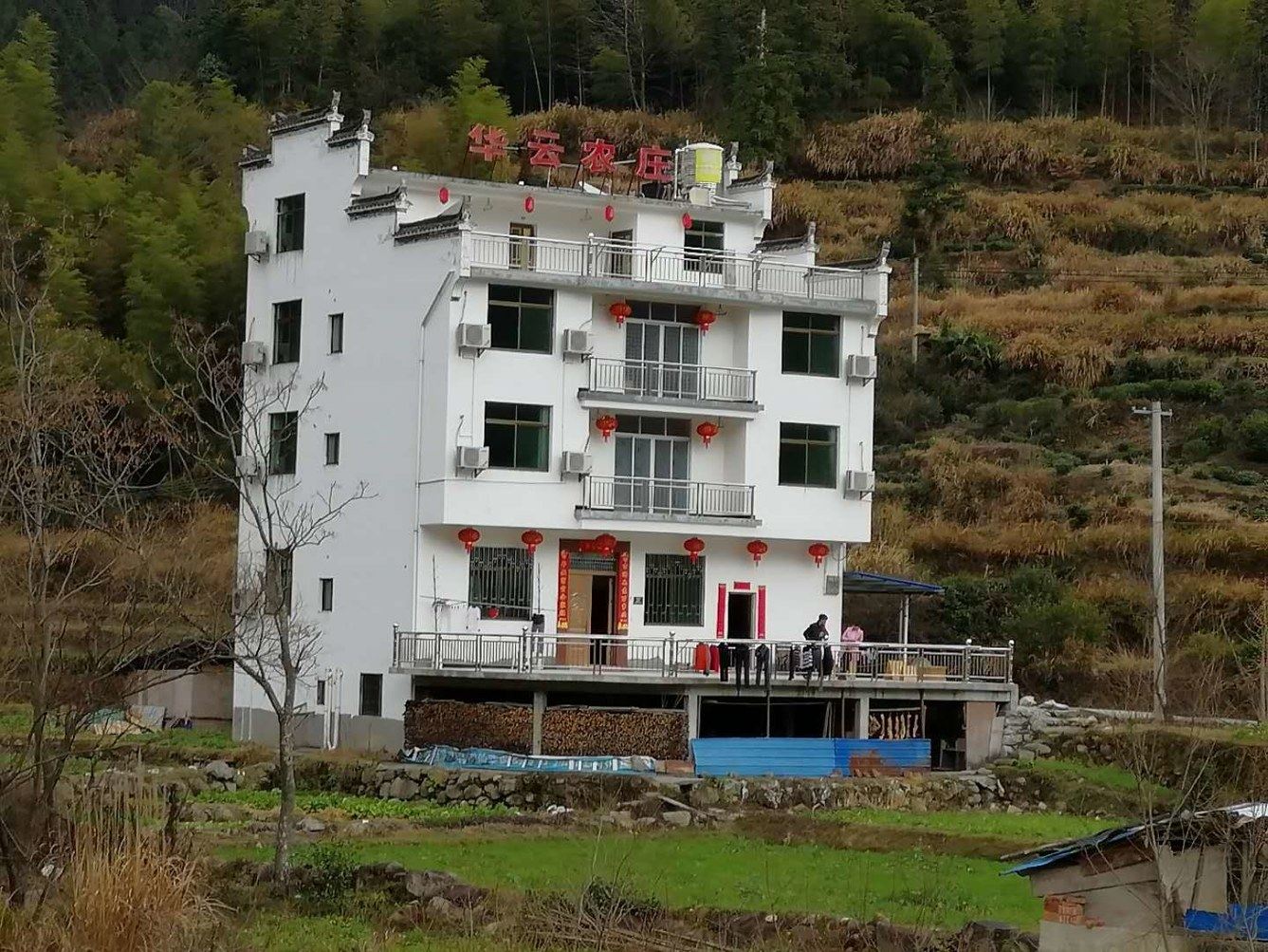 其他