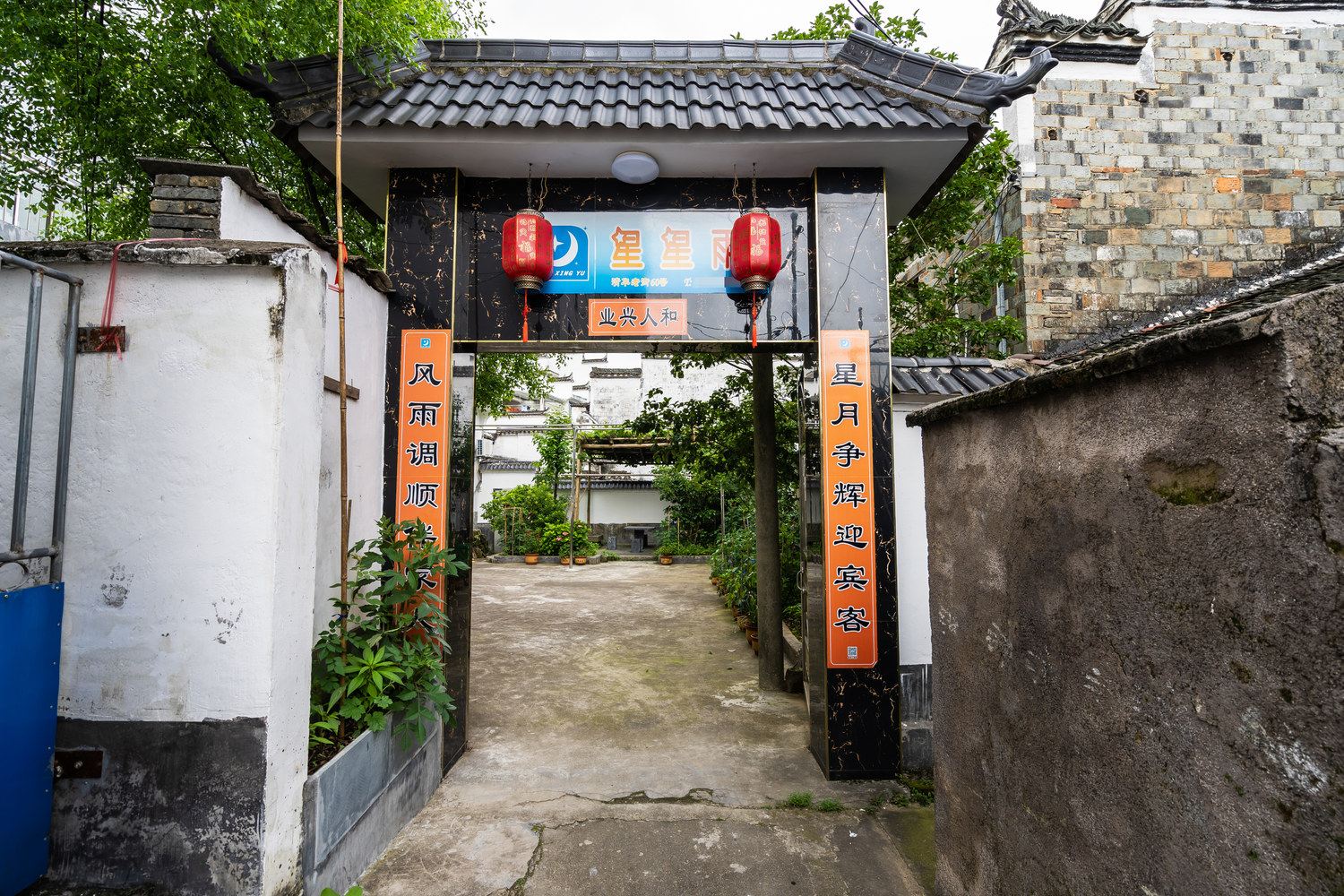 外观