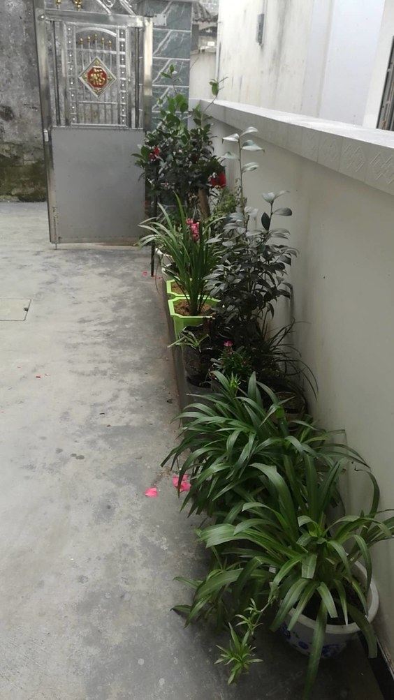 婺源婺里看花民宿(重阳路分店)