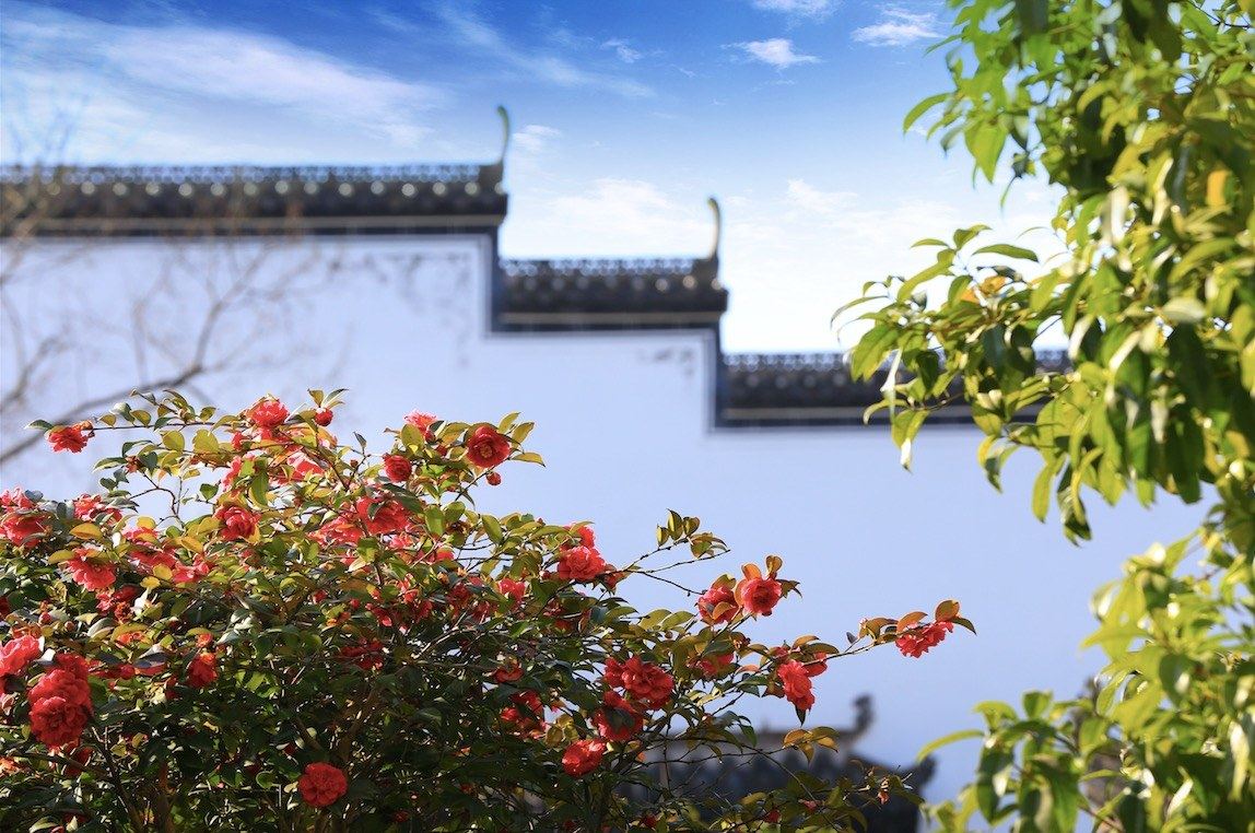 婺源优家精品民宿(思溪路分店)