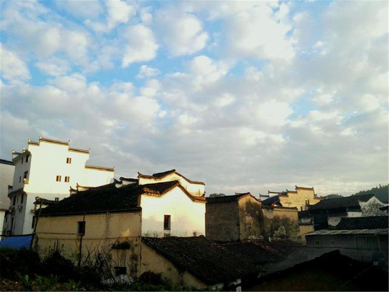 其他