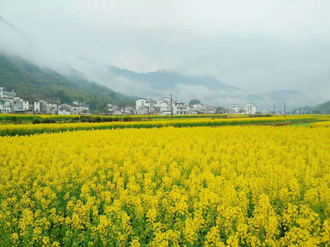 上饶上饶婺源江岭花缘居客栈