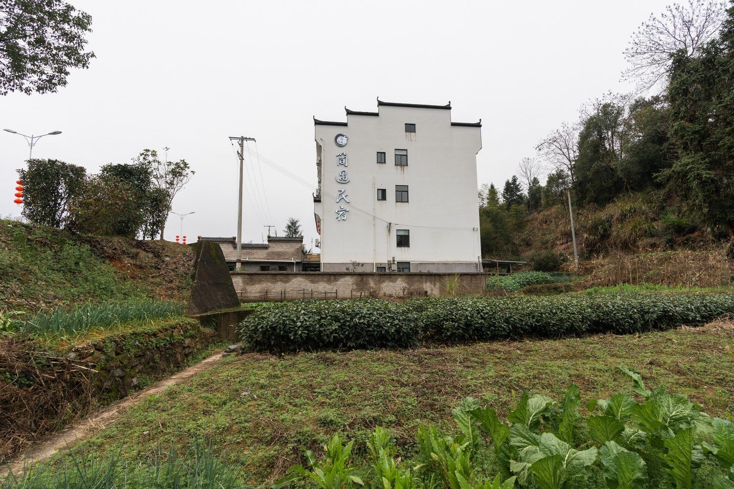 其他