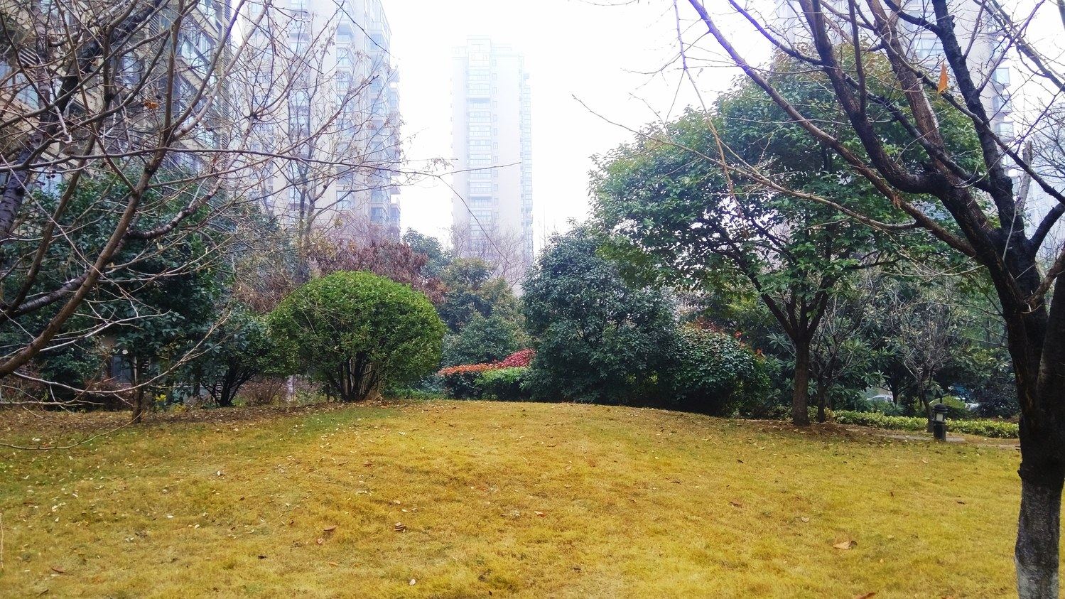 跟着花开去旅行公寓NO.5