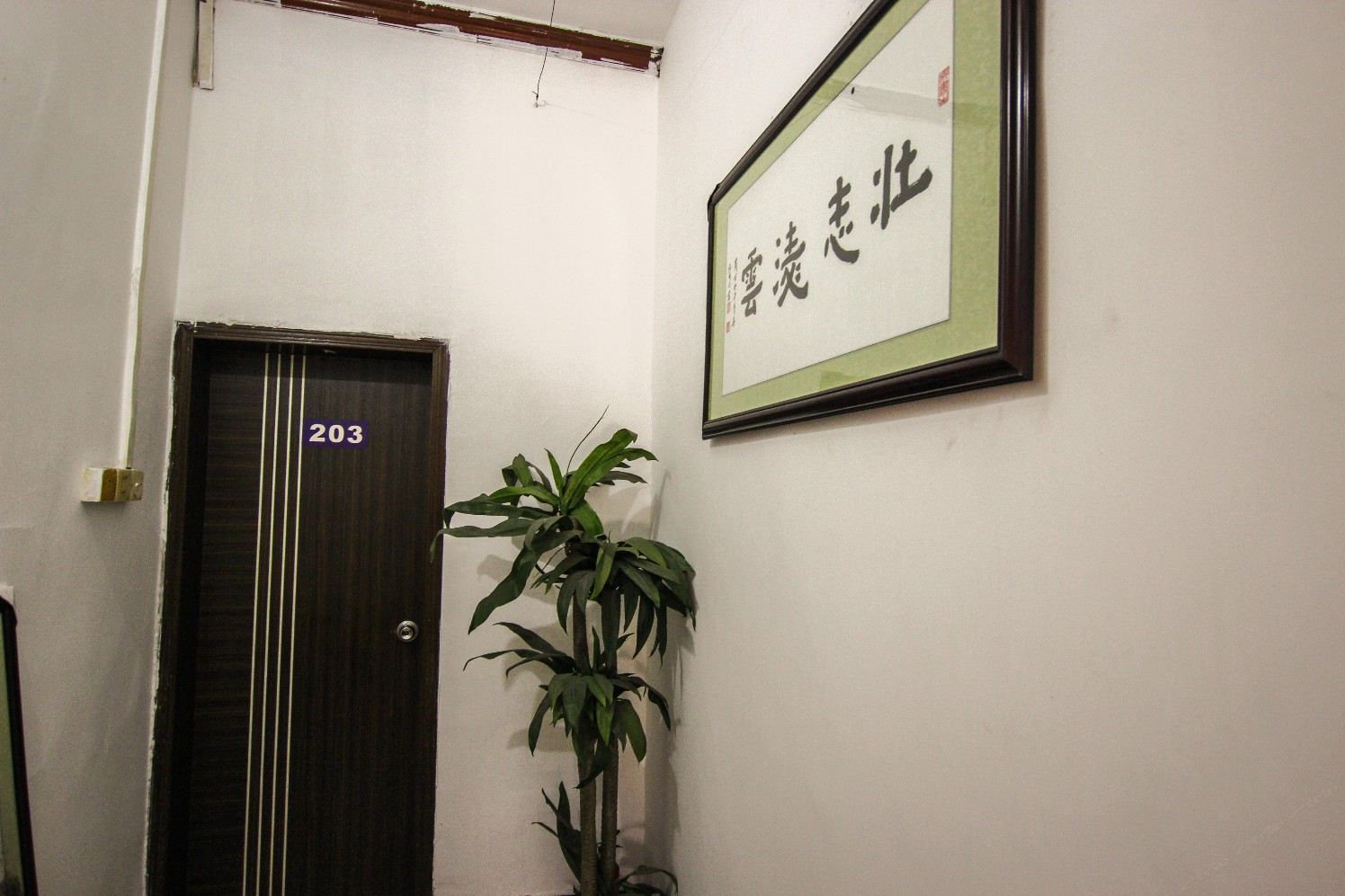 公共区域