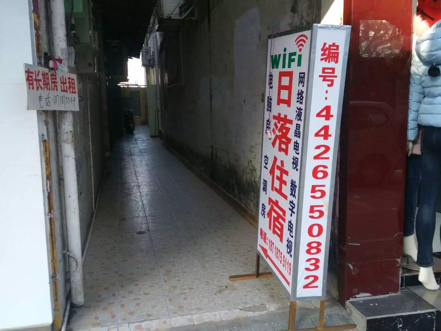 外观