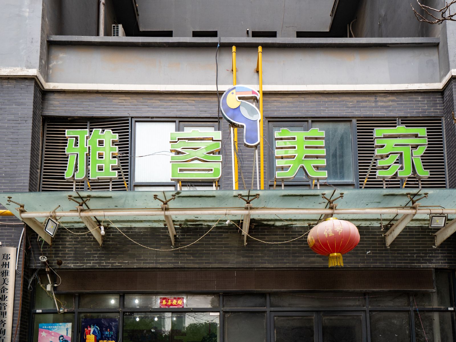 外观