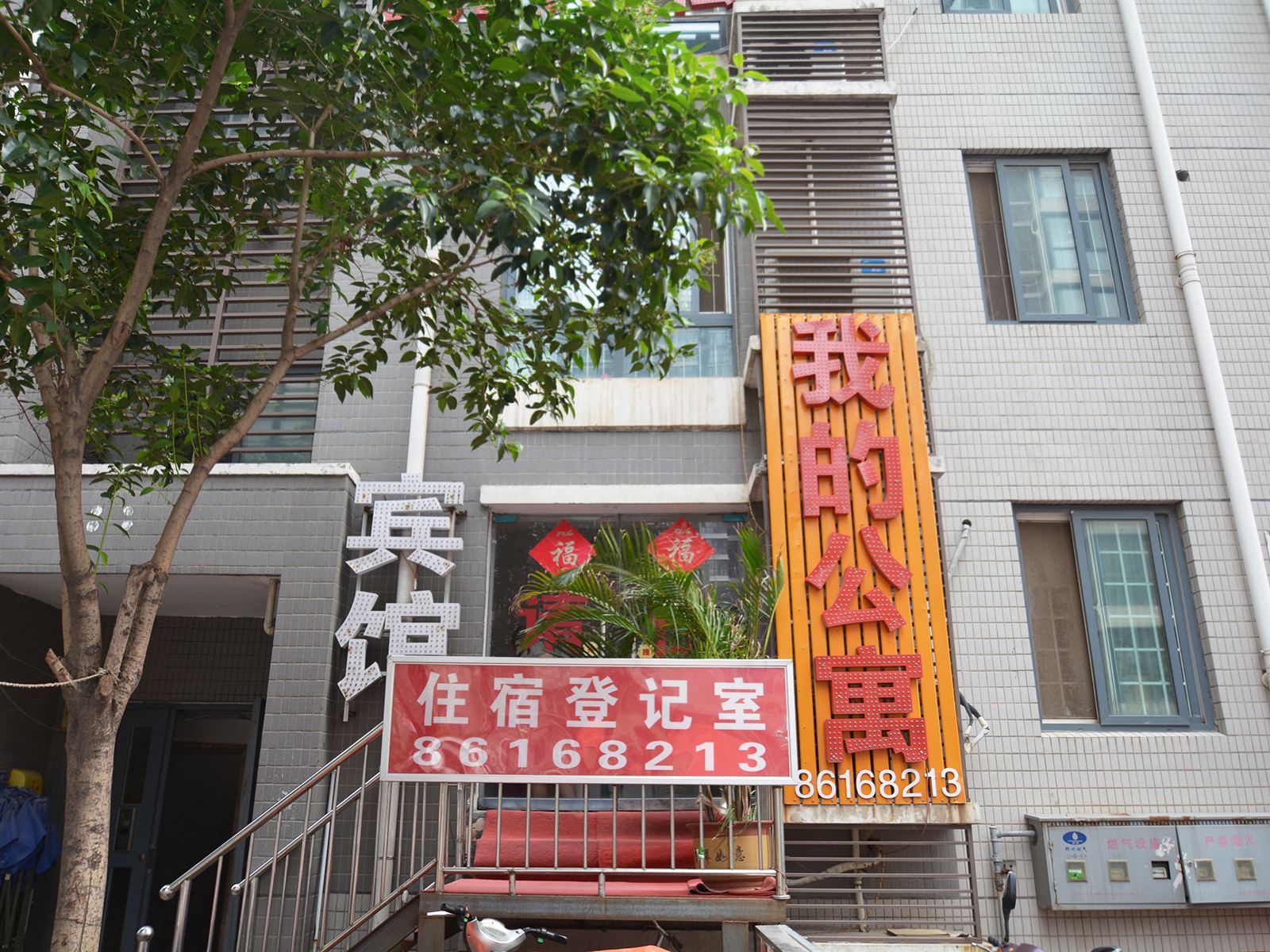 外观