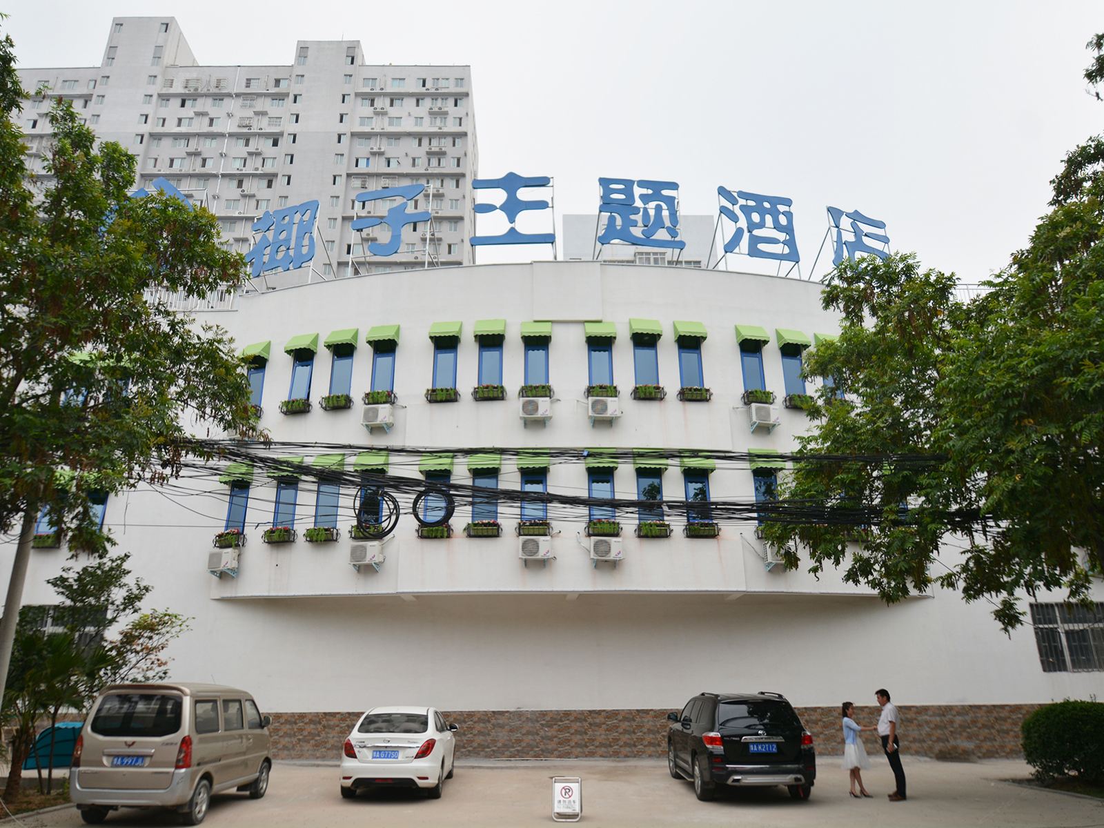 外观