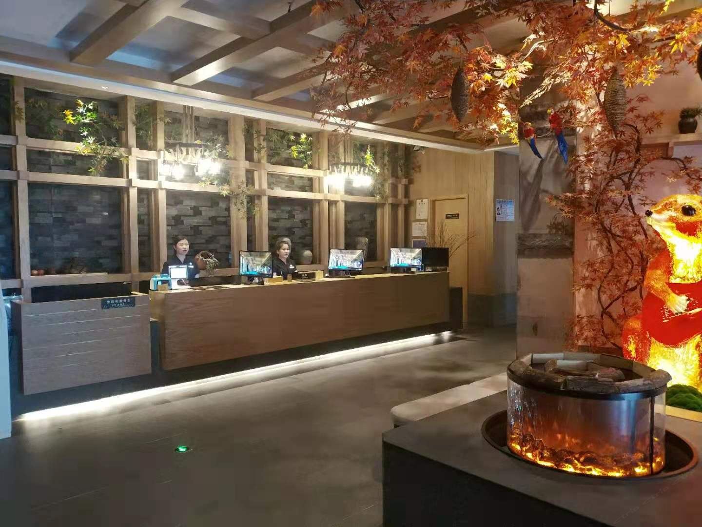 公共区域