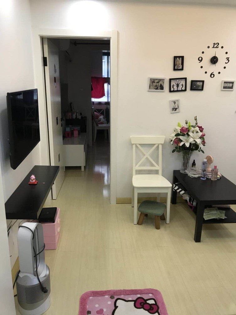 温馨一室一厅