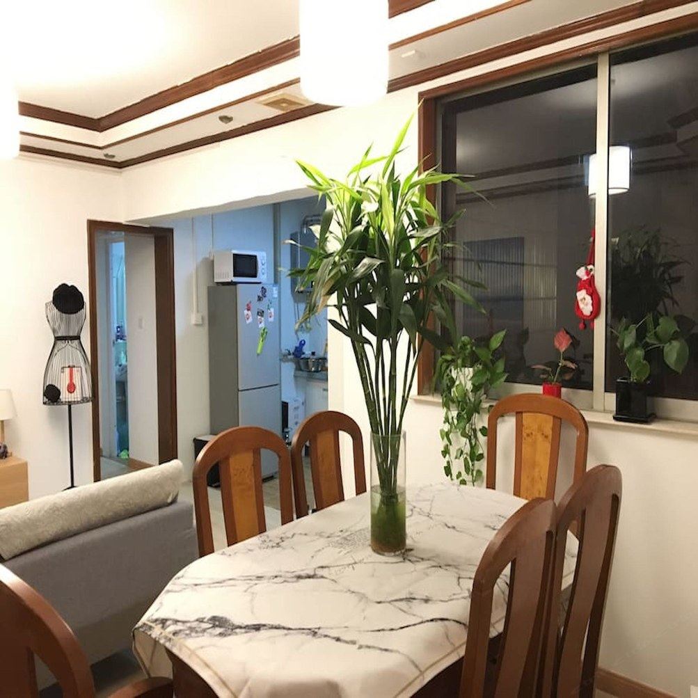 精致一室一厅套房