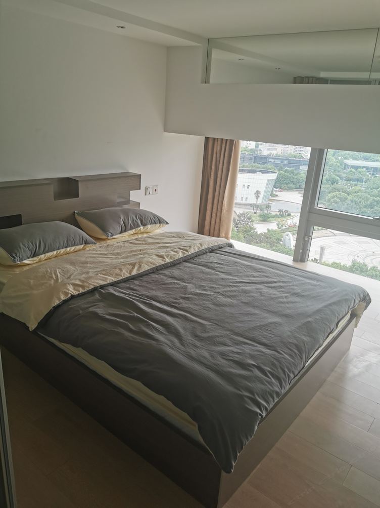 loft二室一厅套房