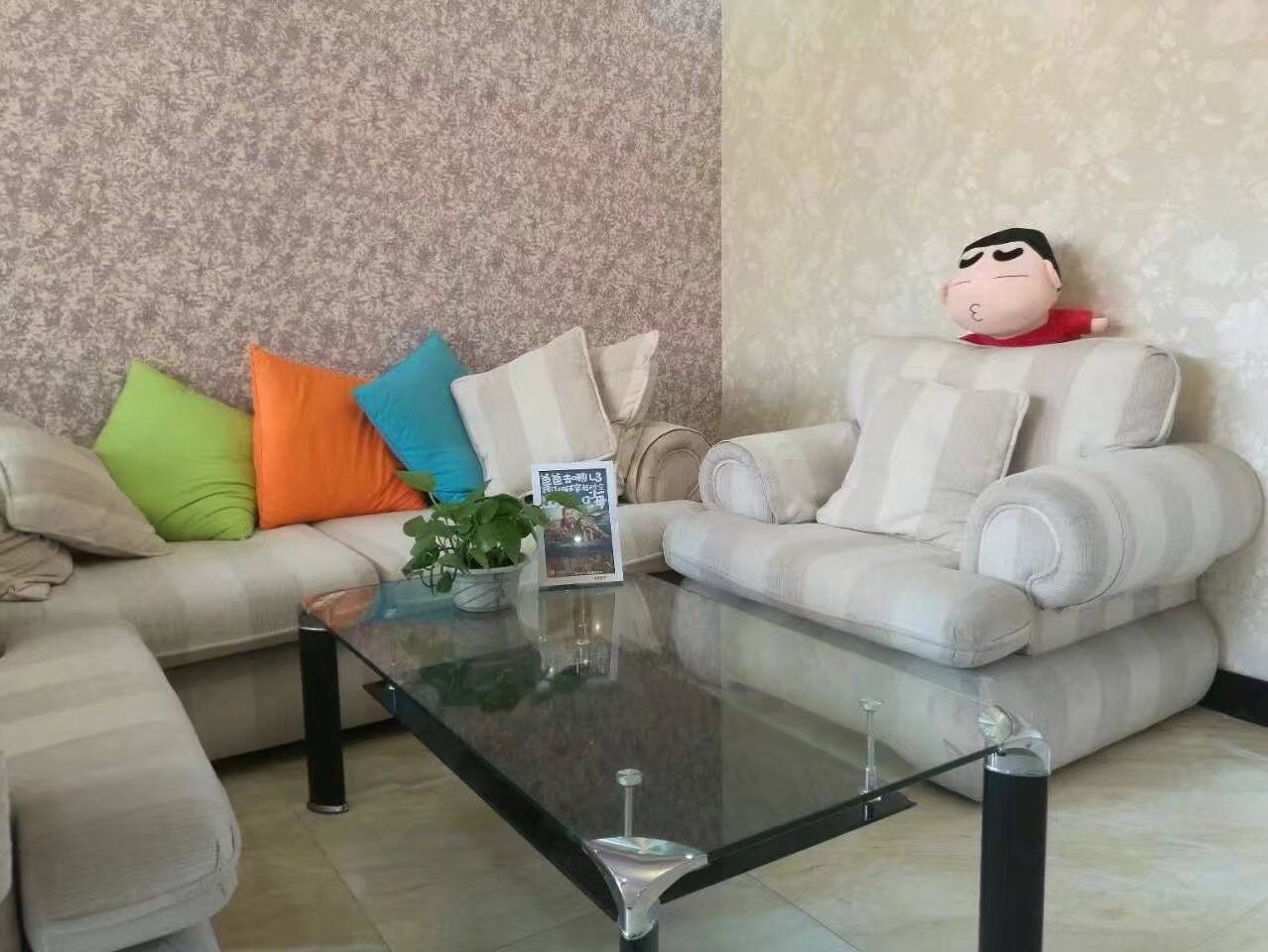 一室一厅