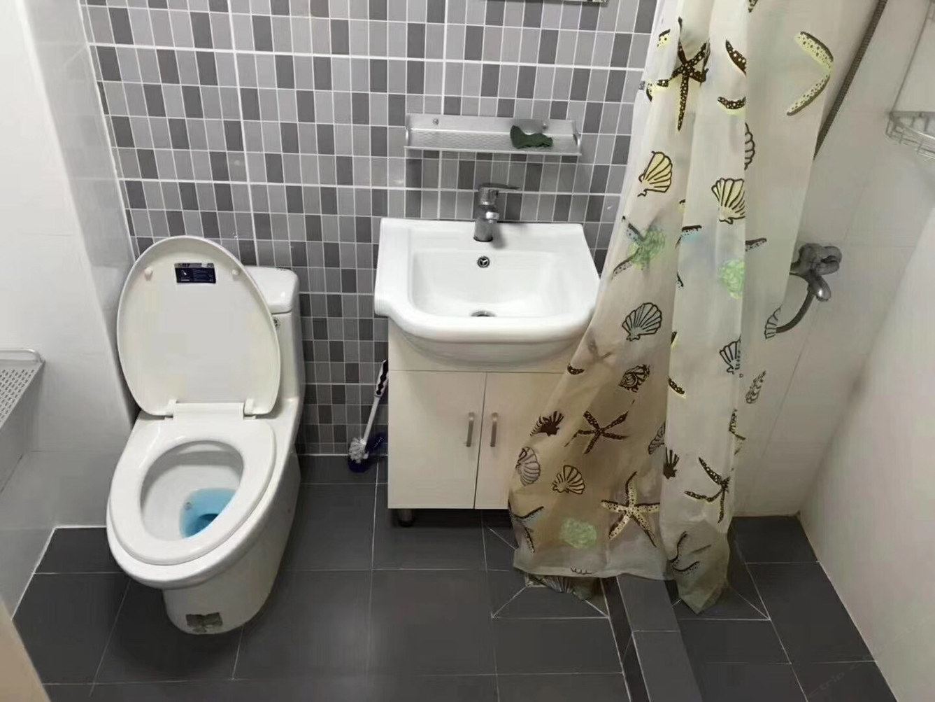 精致一室大床房