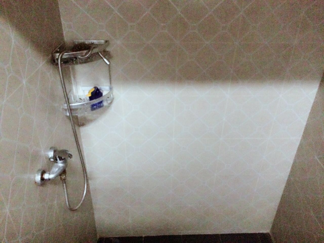 陆家浜路明亮一居室