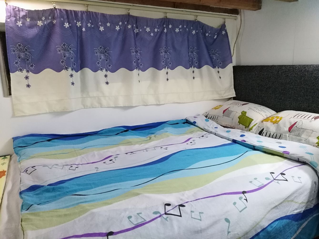 二室单床房