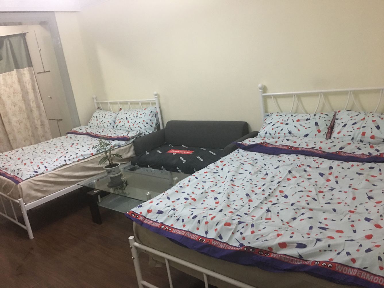 精致二室大床房