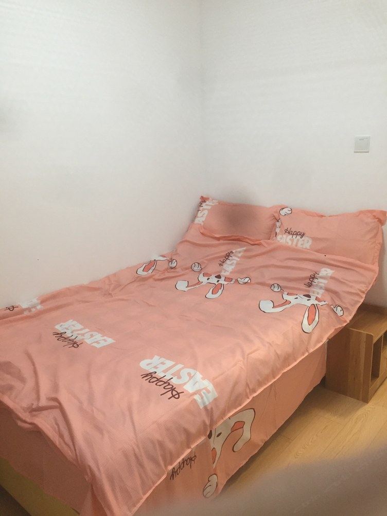 舒适精致二室一厅套房