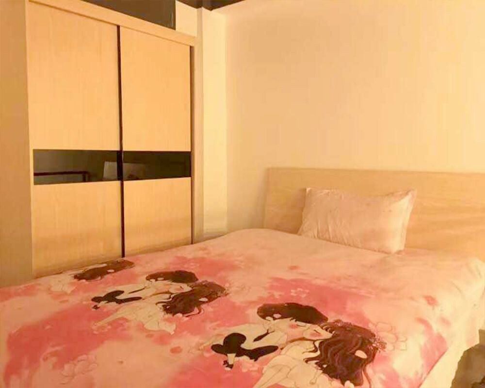 精致一室一厅套房