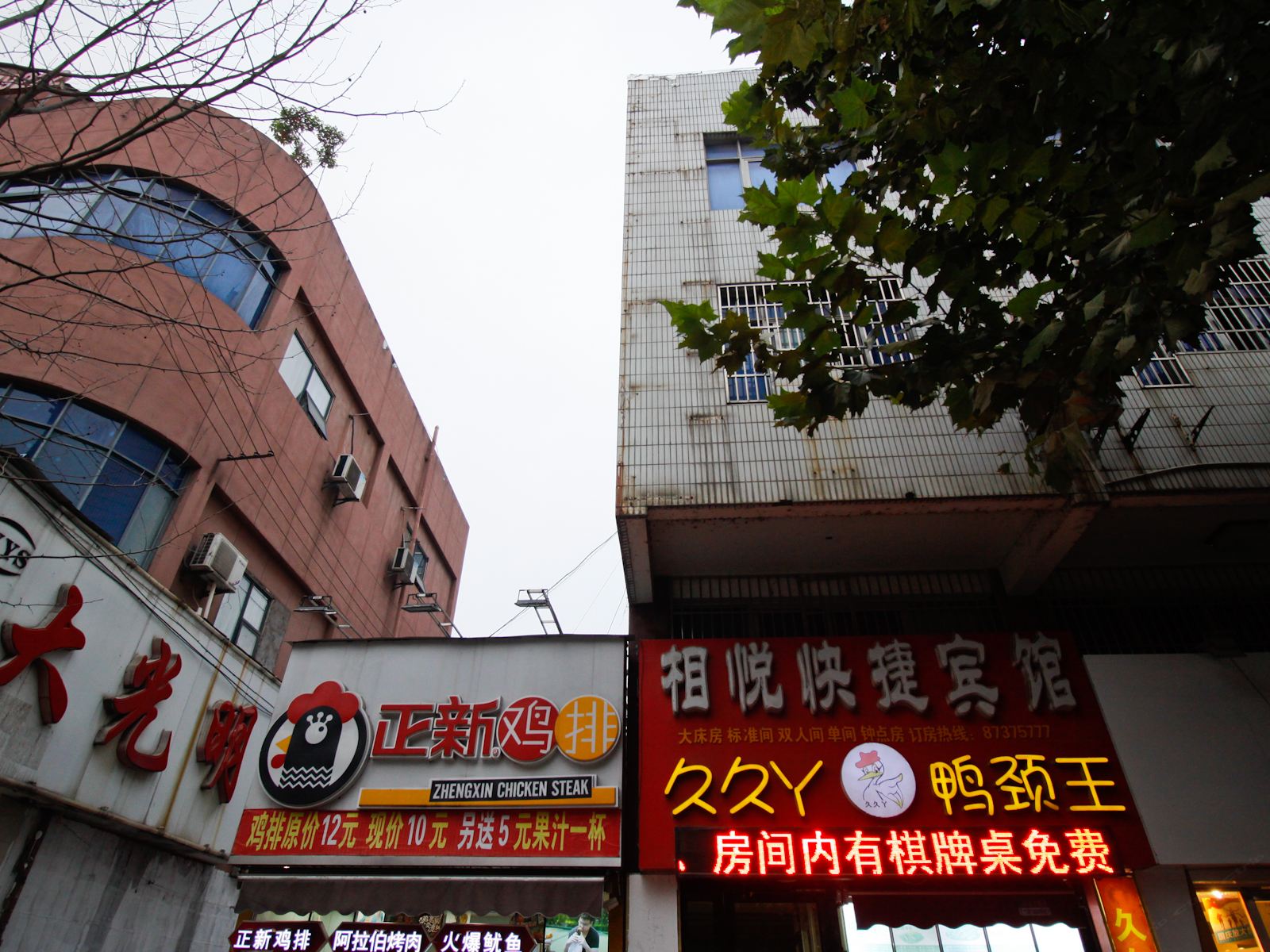 外观