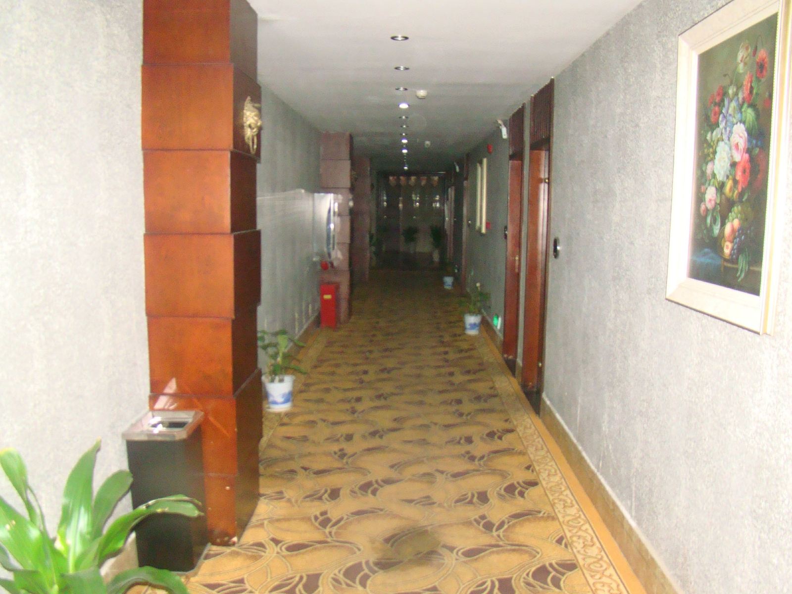 公共区域