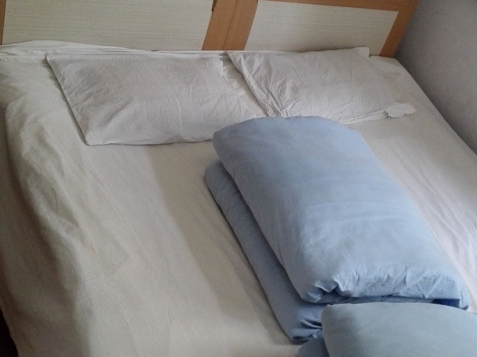 大普通大床房