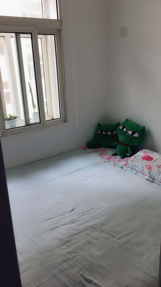 清新二室二床房