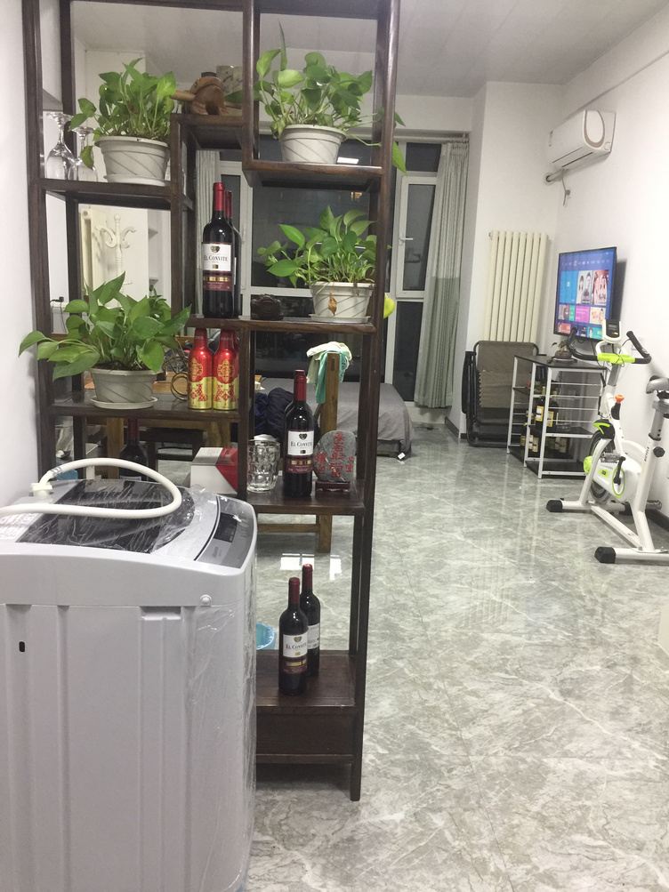 一室一厅套房