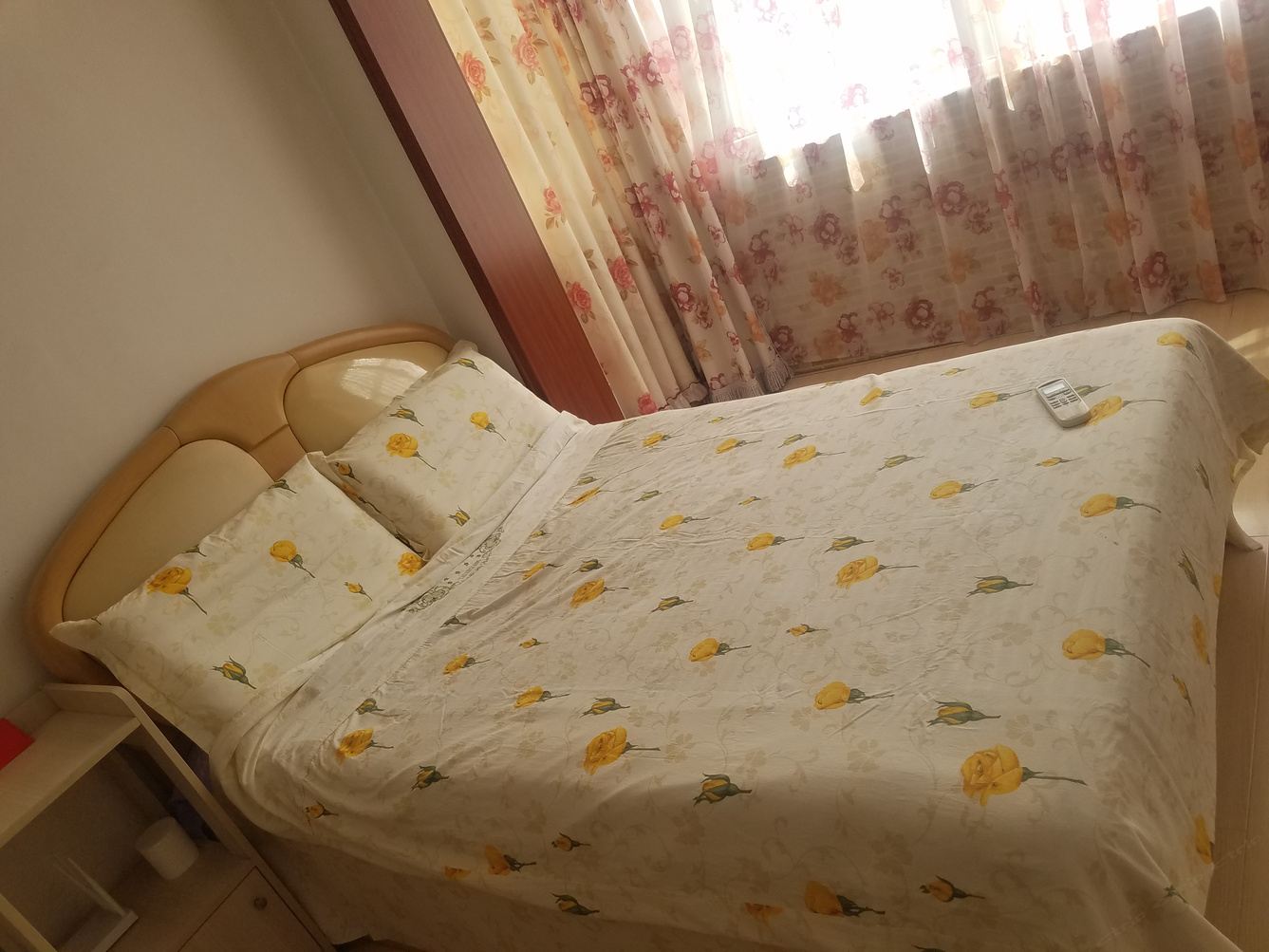 一居室