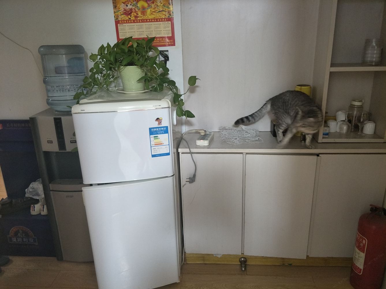 家庭二室一厅套房