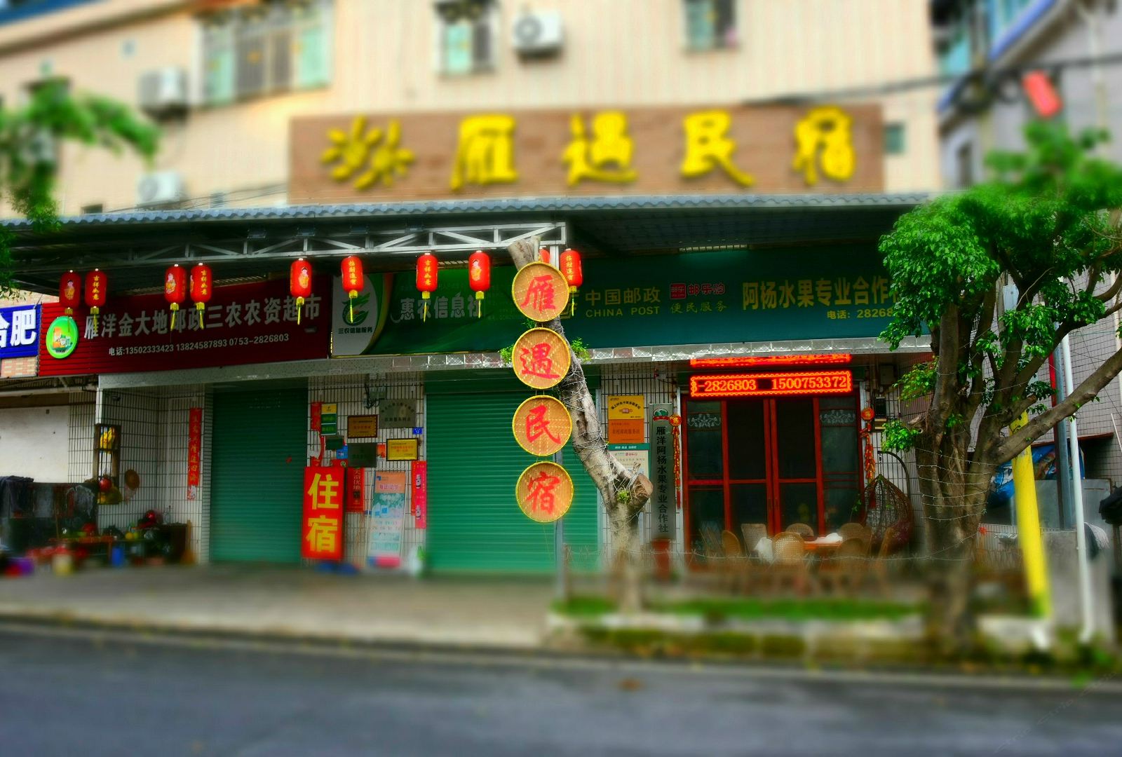 外观