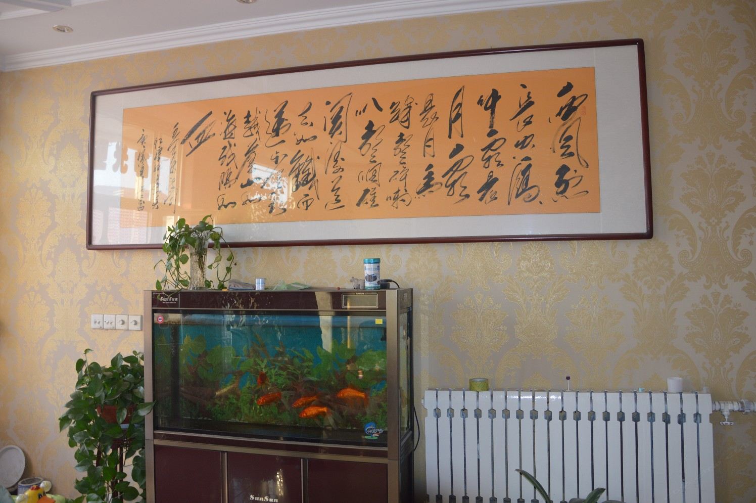 公共区域