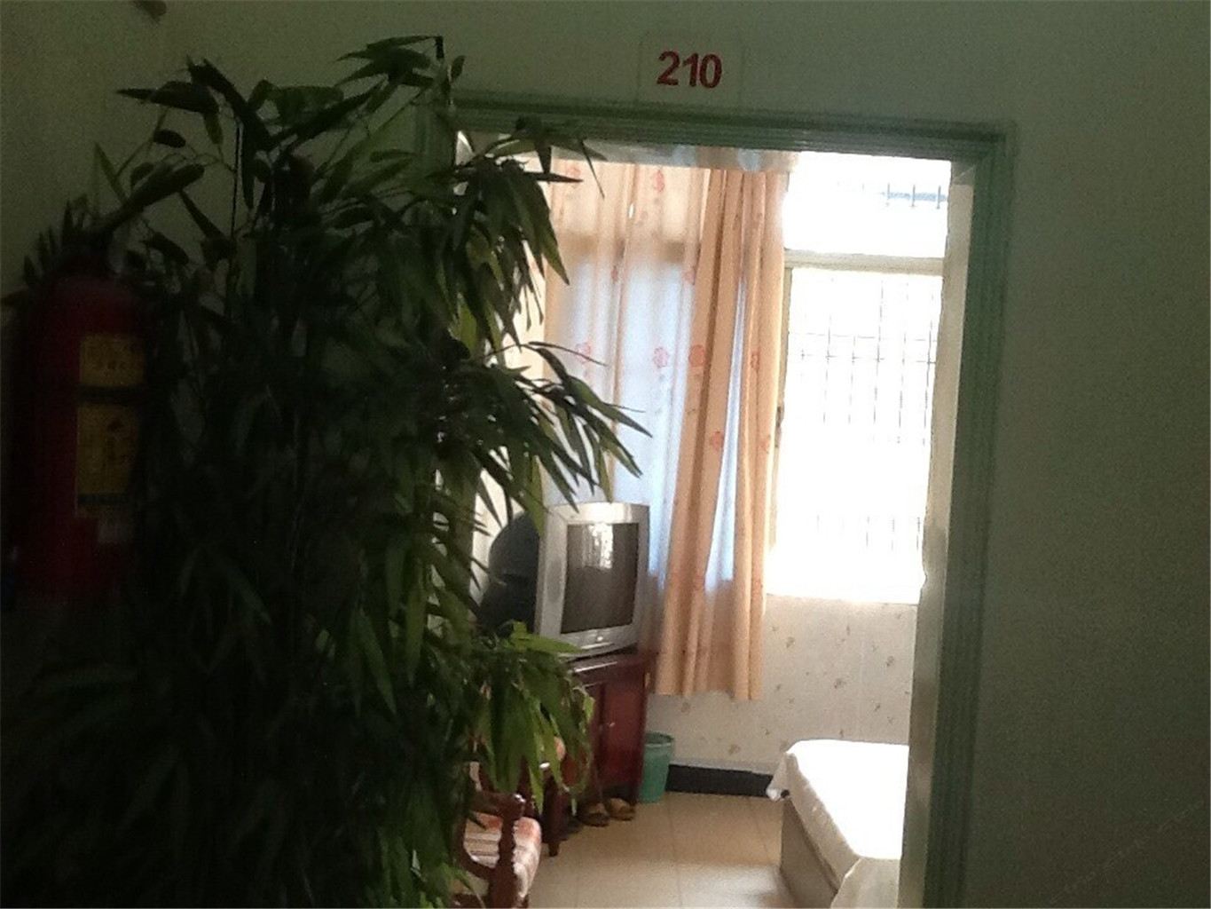 经济大床间